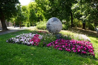 Budapest parks and flowers 