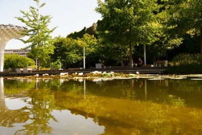 Budapest parks and flowers 