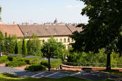 Budapest parks and flowers 