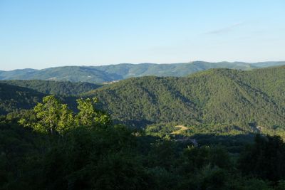 Sovinjak