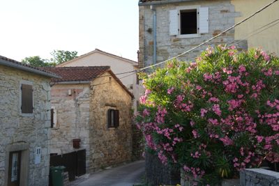 Sovinjak