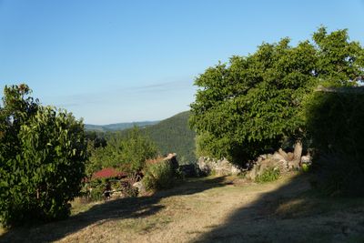 Sovinjak