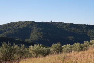 Sovinjak