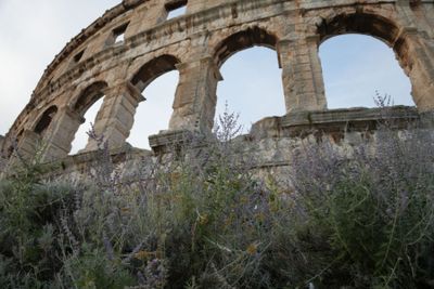 Pula