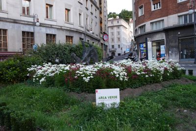 Trieste