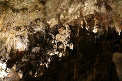 Pristojna cave