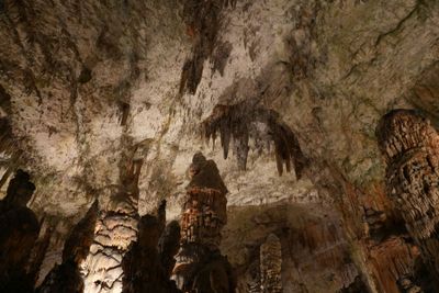 Pristojna cave