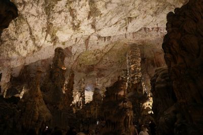 Pristojna cave