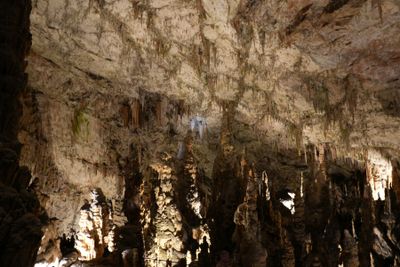 Pristojna cave