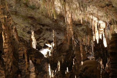 Pristojna cave