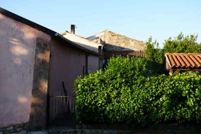 Buzet