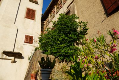 Buzet