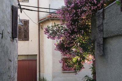Buzet