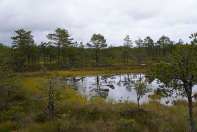 Viru raba in Lahemaa