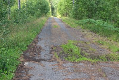 2023-07-25_4507.JPG