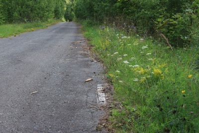 2023-07-25_4510.JPG