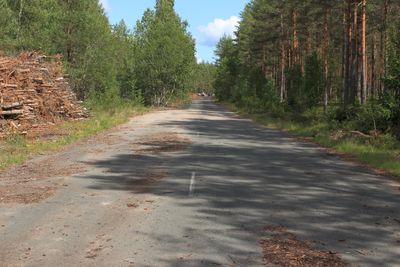 2023-07-25_4527.JPG