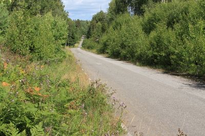 Abandoned roads