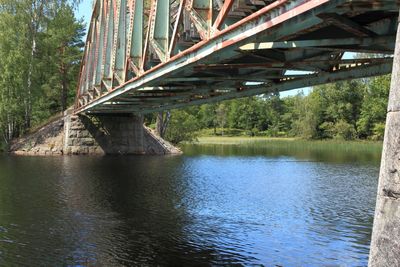 2024-08-02_5008.JPG