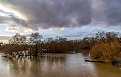 Balade dans le delta de la Sauer