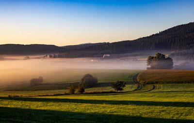 Automne