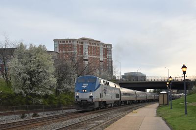 50 - Alexandria