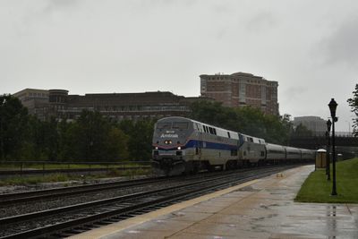 20 - Alexandria
