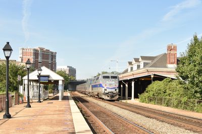 20 - Alexandria