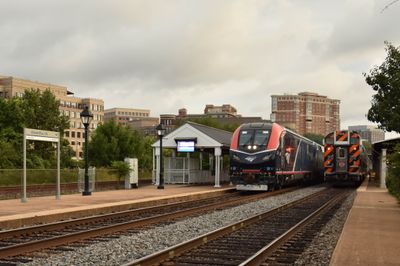 90 - Alexandria