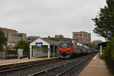 20 - Alexandria