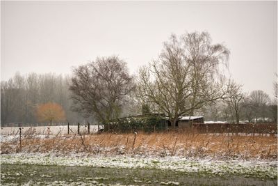 g13/18/13018/3/175167150.079ba46f.JPEG