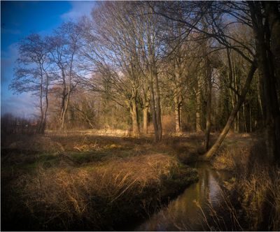 Argus Sandmar Wide Angle 35mm F:4,5