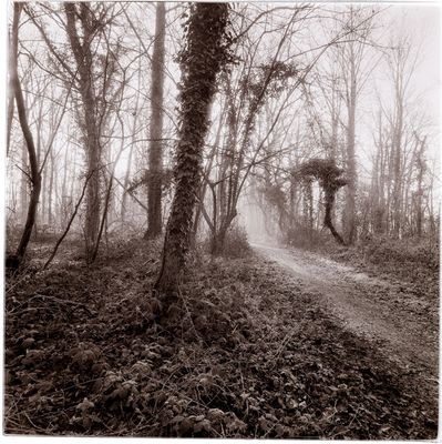 Hasselblad SWC Biogon 38/4.5