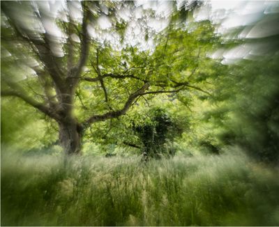 Vintage lenses on Nikon Z6