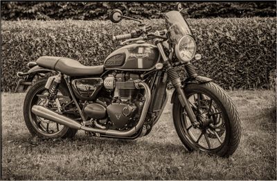 Triumph street twin 900