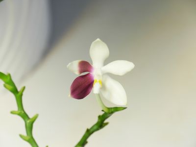 g13/18/17418/3/175867965.b944f218.JPEG