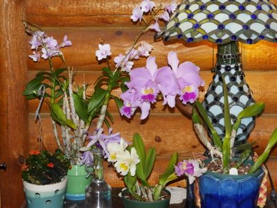 12-1-25 P1000198.jpg