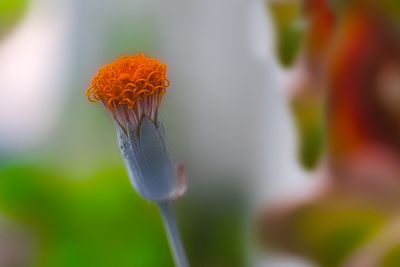 AA0A1111cclu s.jpg