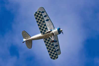 _A0A3418cclu s.jpg