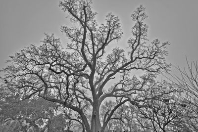 AA0A0363cc s.jpg