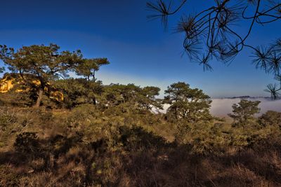 PICTURE A DAY 2025 YEAR 21