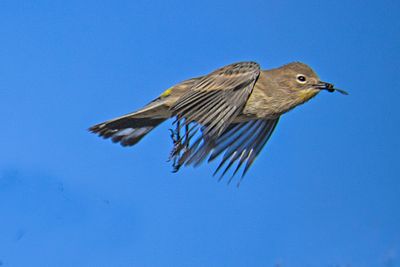 PICTURE A DAY 2025 YEAR 21