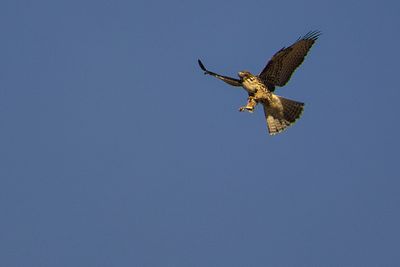 PICTURE A DAY 2025 YEAR 21