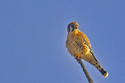 PICTURE A DAY 2025 YEAR 21