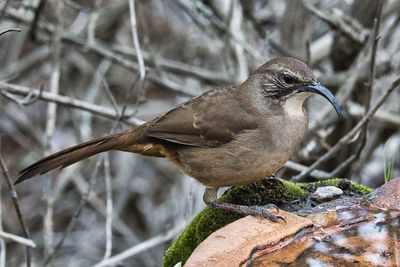 PICTURE A DAY 2025 YEAR 21