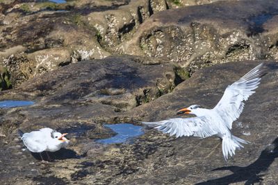 PICTURE A DAY 2025 YEAR 21