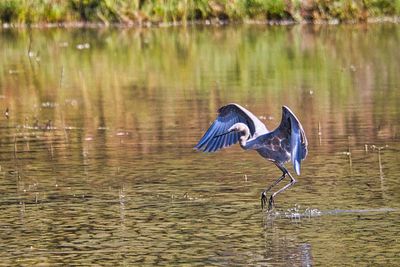 PICTURE A DAY 2025 YEAR 21