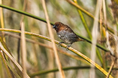 PICTURE A DAY 2025 YEAR 21