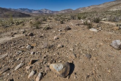 PICTURE A DAY 2025 YEAR 21