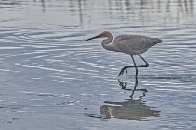 PICTURE A DAY 2025 YEAR 21